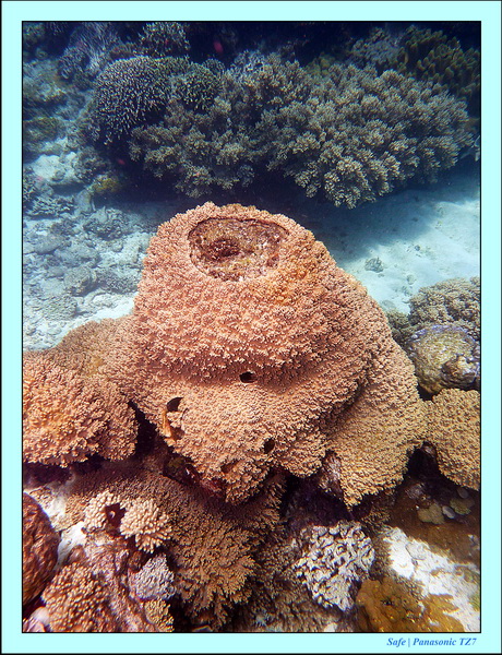 2012 - 07 - Apoh Island 61